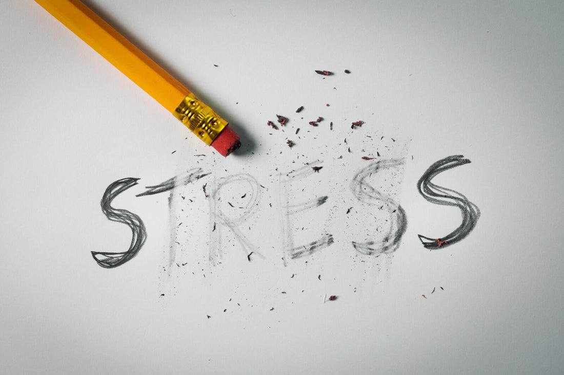 Why Stress Destroys Your Day (And How to Take Back Control)