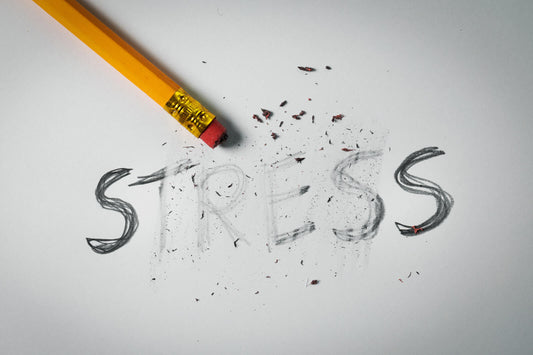 Why Stress Destroys Your Day (And How to Take Back Control)